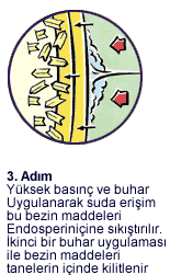 Parboil 3. Adım